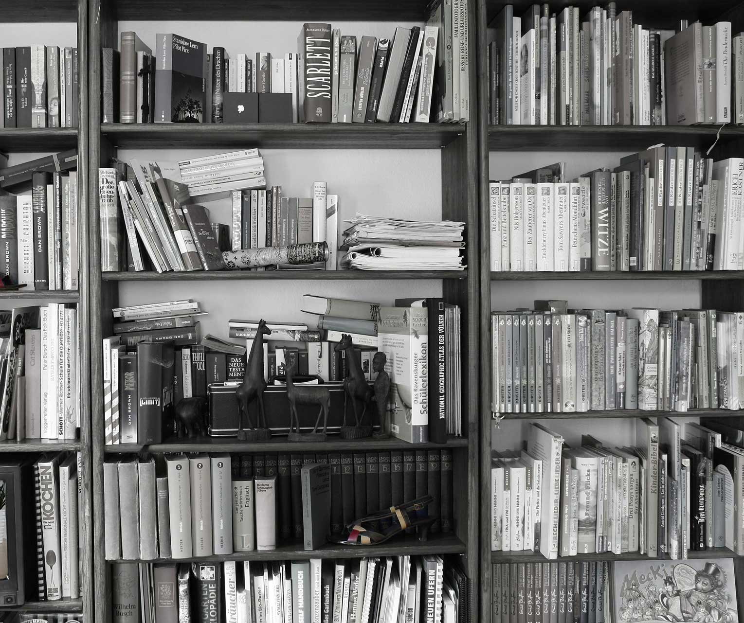 Estantería con libros
